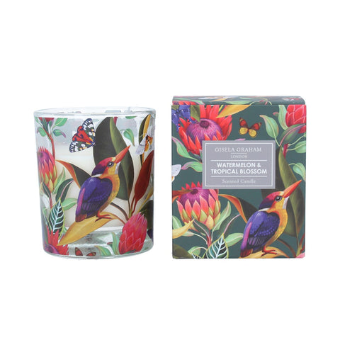 Gisela Graham London Boxed Scented Candle - Watermelon & Tropical Blossom