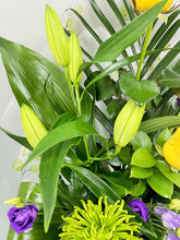 Modern Front Facing Flower Bouquet -(Vibrant Colours) - From