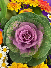 'FlowerTime Offer'