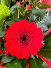 Modern Festive Front Facing Arrangement (Reds)-From