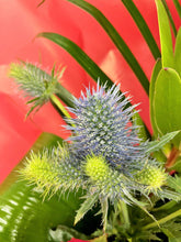 Modern Festive Front Facing Arrangement (Reds)-From