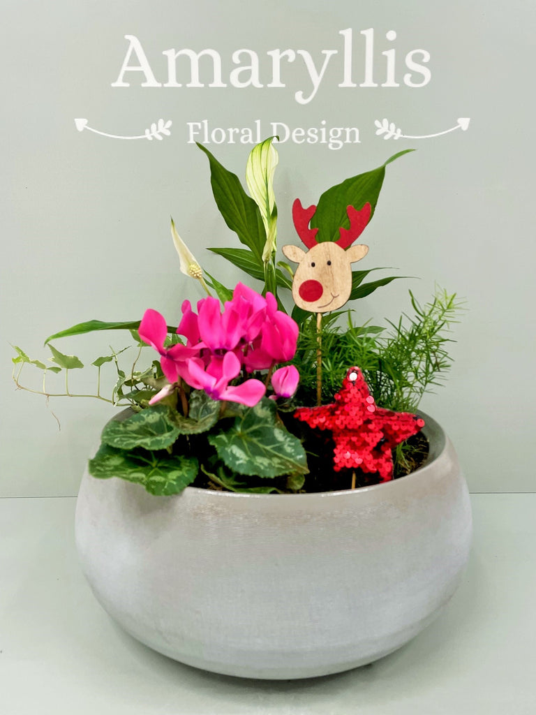 Luxury Ceramic Bowl Christmas Planter-(Grey Bowl)