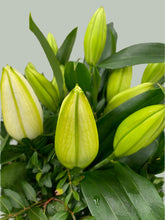 Lilies in Spring Aqua Hand tied Bouquet - From