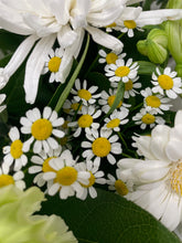 'FlowerTime Offer'