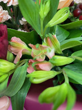 'FlowerTime Offer'