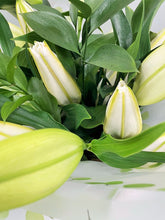 Hand Tied Lily Bouquet in Water (White or Pinks) - from