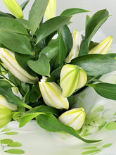 Hand Tied Lily Bouquet in Water (White or Pinks) - from