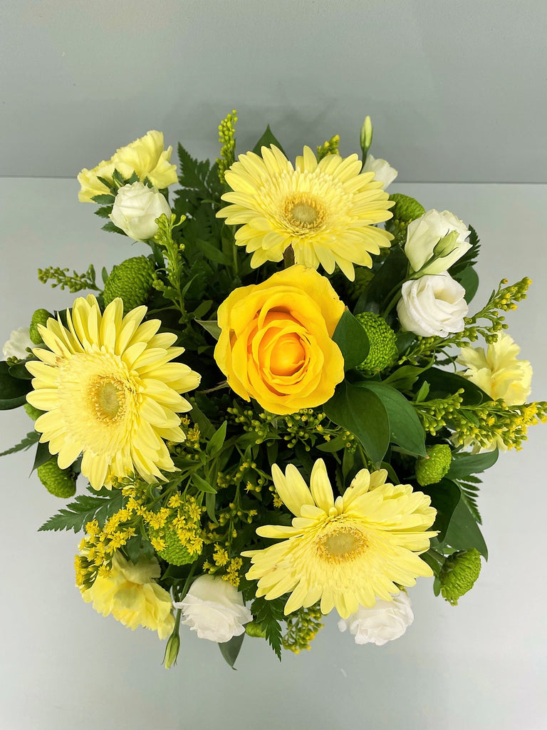 Yellow Posy-From