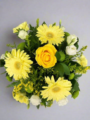 Yellow Posy-From