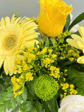 Yellow Posy-From