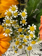 'FlowerTime Offer'