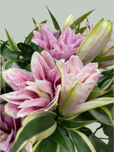 Rosalie Pink Lily Arrangement in Glass Vase