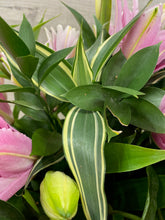 Rosalie Pink Lily Arrangement in Glass Vase