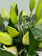 Premium Large White Head Lily Arrangement in Glass Vase