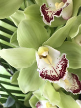 Modern Orchid Flower Arrangement