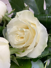 Large Head Roses (White) Hand tied